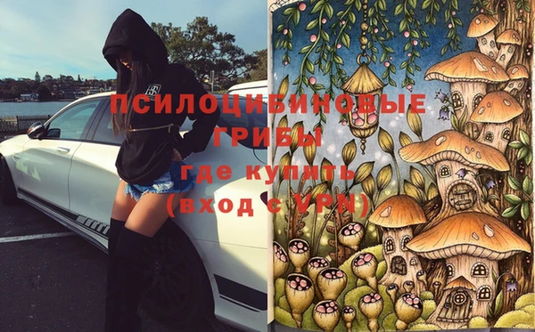 герыч Осташков
