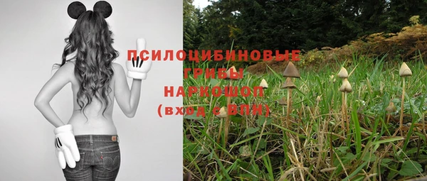 мяу мяу мука Абдулино