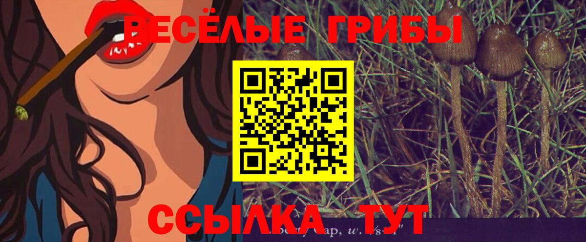 Галлюциногенные грибы Psilocybe  Вход с VPN  Партизанск 